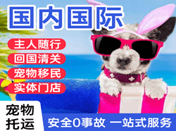 固原六盘山航空运输国际宠物托运 【国